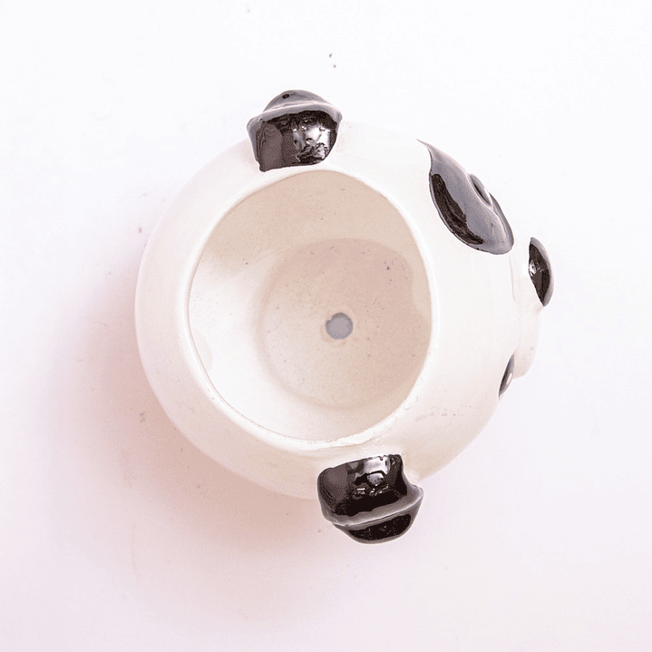 Matera De Perrito Blanco Con Manchas 3