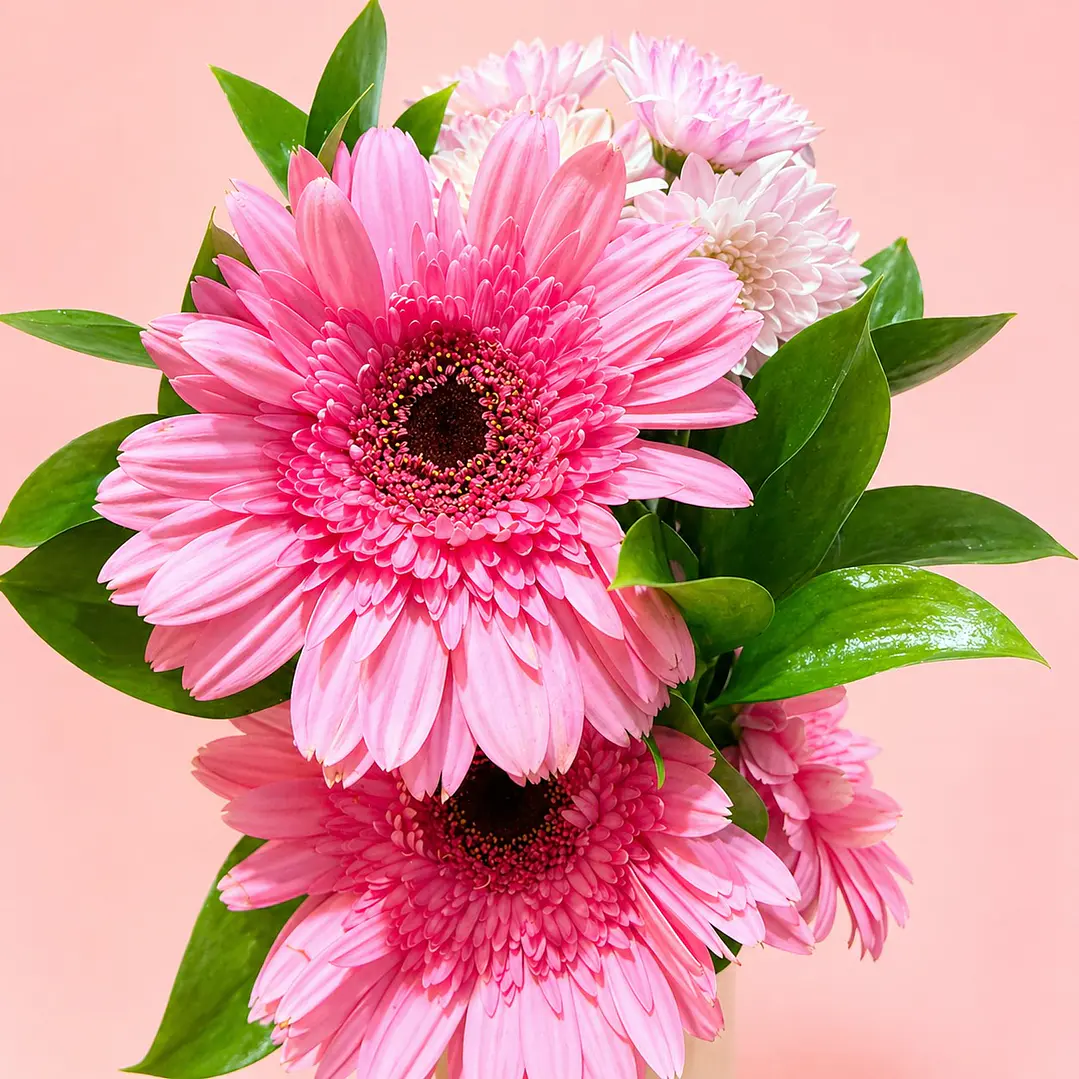 Amor En Garberas Para Mamá 2