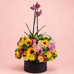Arreglo floral Orquídea