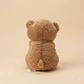 Peluche Oso Con Ramo Gorro - Miniatura 3