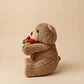 Peluche Oso Con Ramo Gorro - Miniatura 2