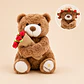 Peluche Oso Con Ramo Gorro - Miniatura 1