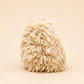 Peluche Erizo Blanco Girasol - Miniatura 3