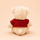 Peluche Oso Teddy Buzo Rojo - Miniatura 3