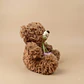 Peluche Osito Peludo Con Tulipanes - Miniatura 2