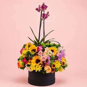 Ramo Orquidea Floral