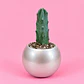 Cactus Plata Elegante - Miniatura 1