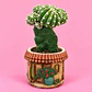 Cactus Casita Encantada - Miniatura 1