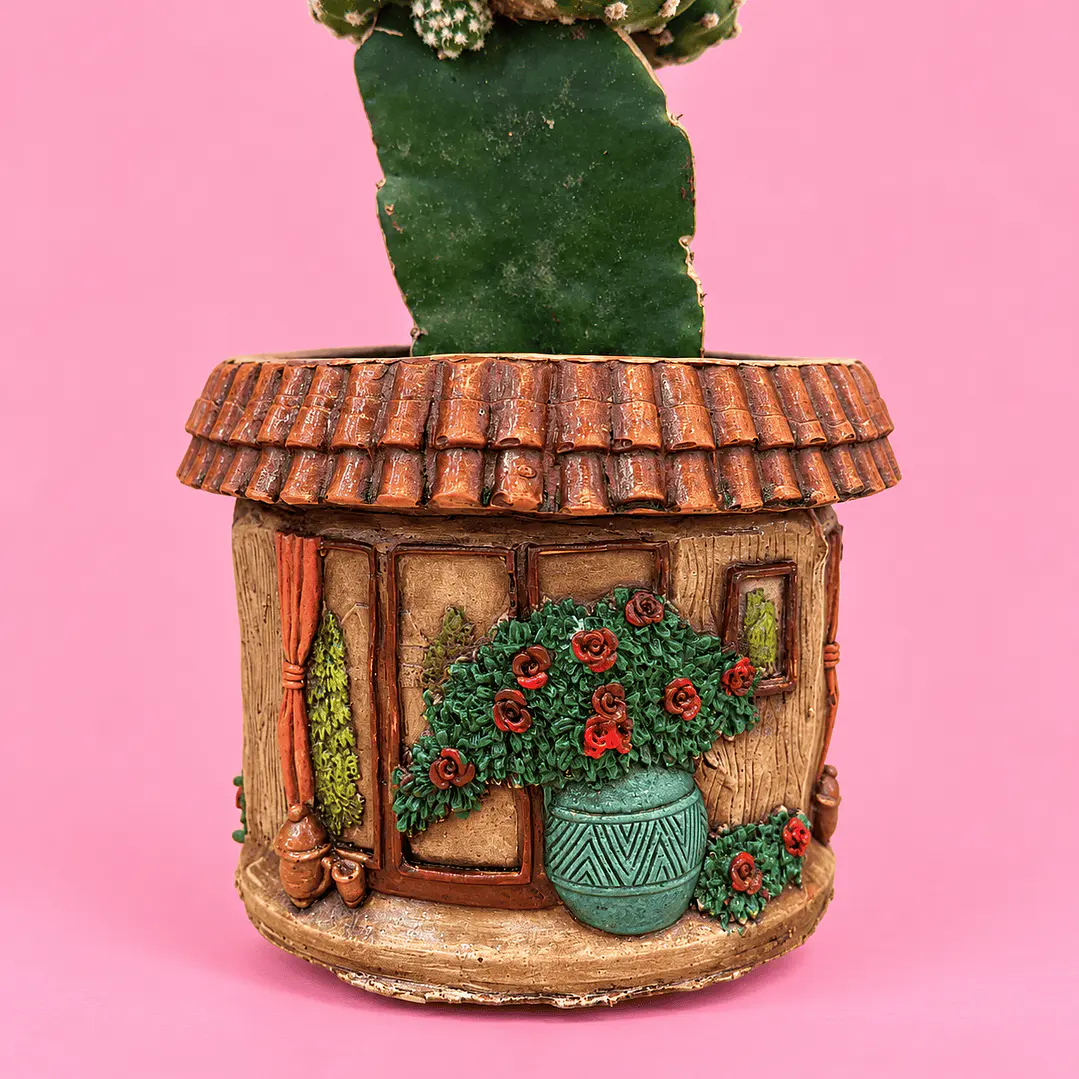 Cactus Casita Encantada 3