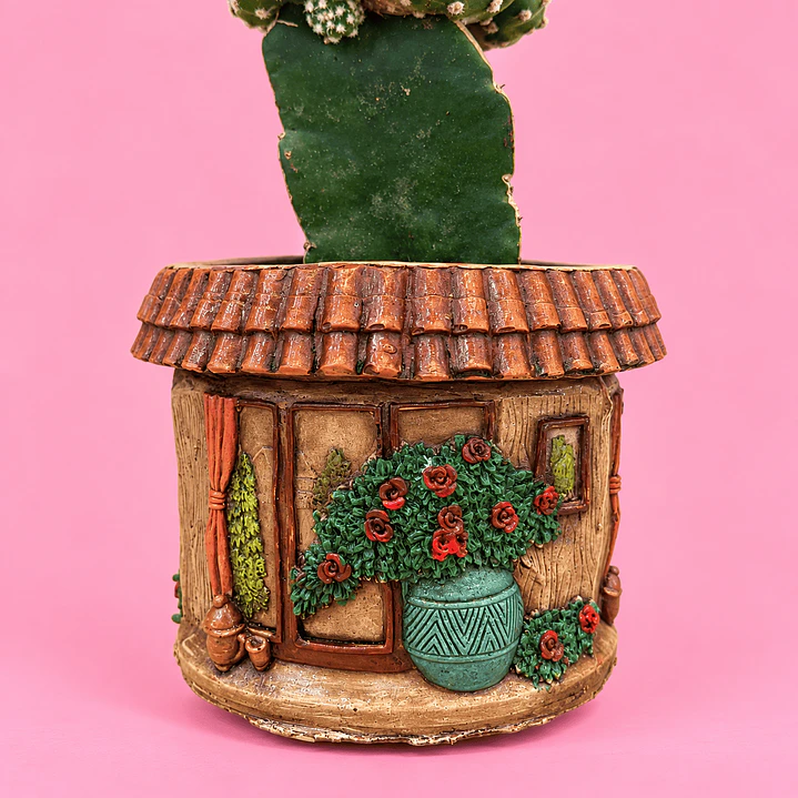 Cactus Casita Encantada 3