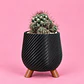  Cactus Elegance Black - Miniatura 1
