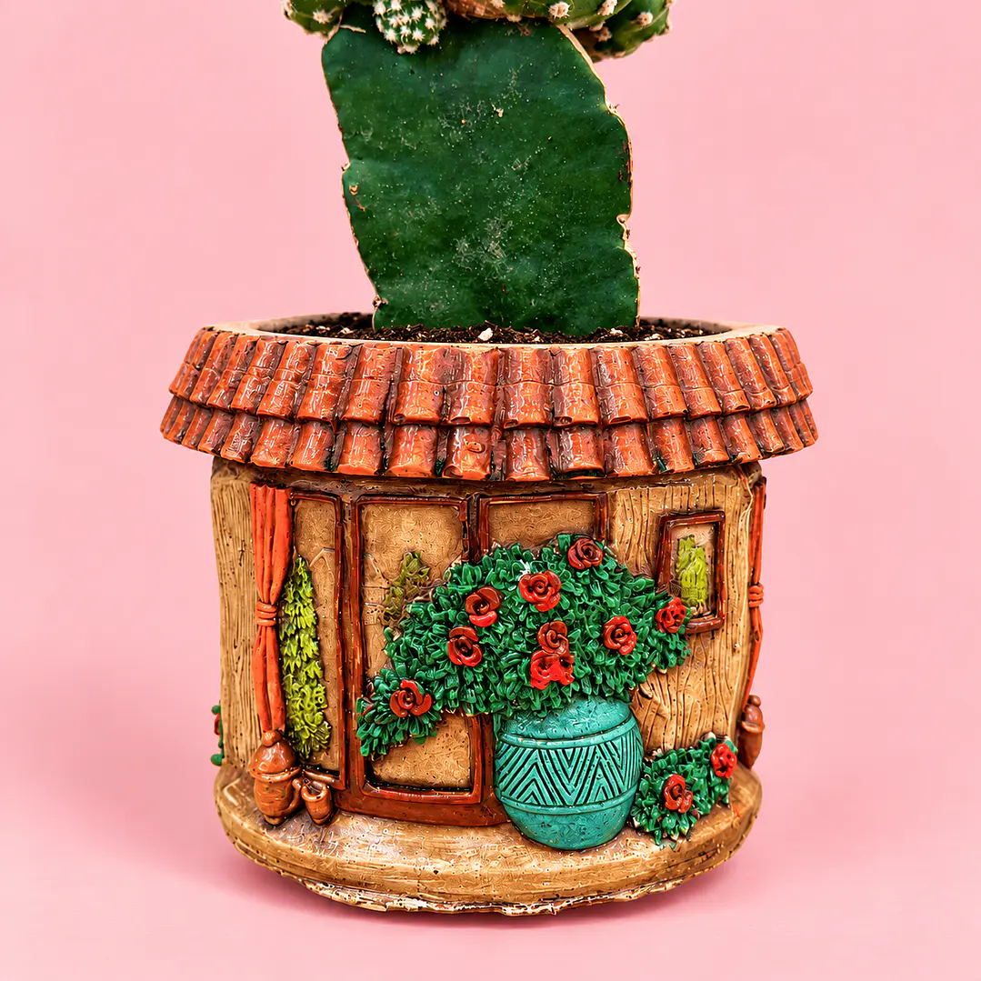 Cactus Casita Encantada 2