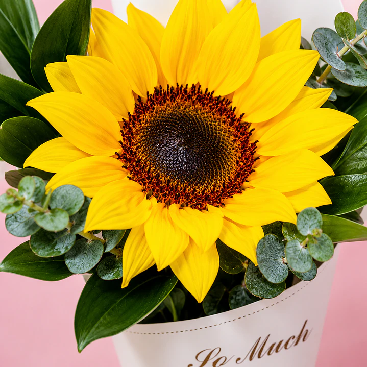 Girasol Individual Un Rayito de Felicidad 🌻💛 2