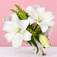 🤍🌸 Ramo de Lirios Blancos Suspiros de Amor ✨ - Miniatura 1