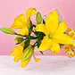 💛🌼 Ramo de Lirios Amarillos Caricias de Sol ✨ - Miniatura 2