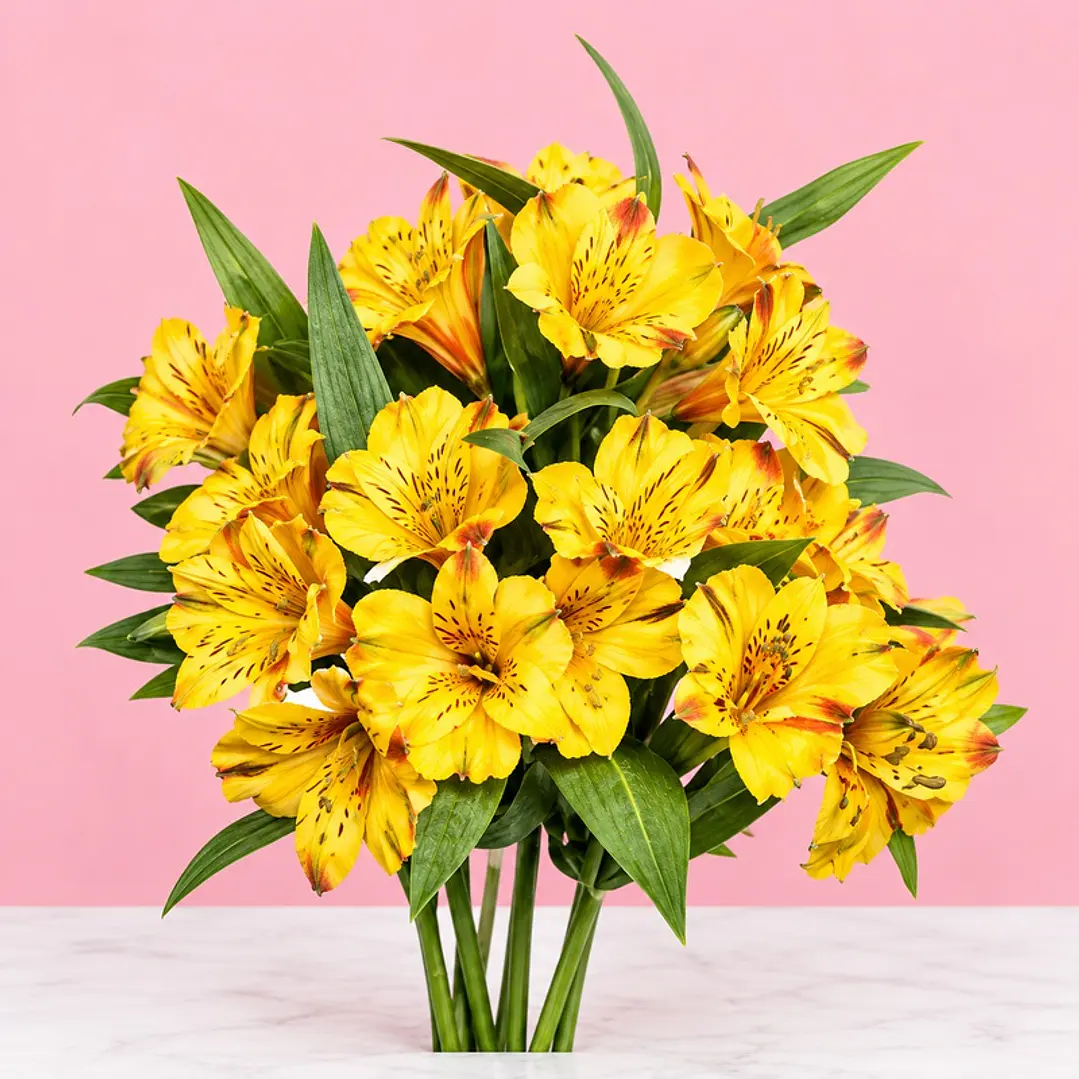 🌼💛 Ramo de Astromelias Amarillas Rayitos de Sol ✨ 2