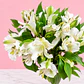 🤍🌸 Ramo de Astromelias Blancas Dulce Pureza ✨ - Miniatura 2