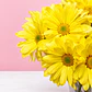 🌼💛 Ramo de Margaritas Amarillas Rayitos de Sol ✨ - Miniatura 2