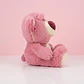 🧸💗 Oso Lotso de Peluche Rosa – Un Abrazo Lleno de Dulzura - Miniatura 2