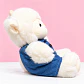 🐑💙 Ovejita de Peluche Blanca con Camisa Azul – Un Abrazo Lleno de Ternura - Miniatura 2