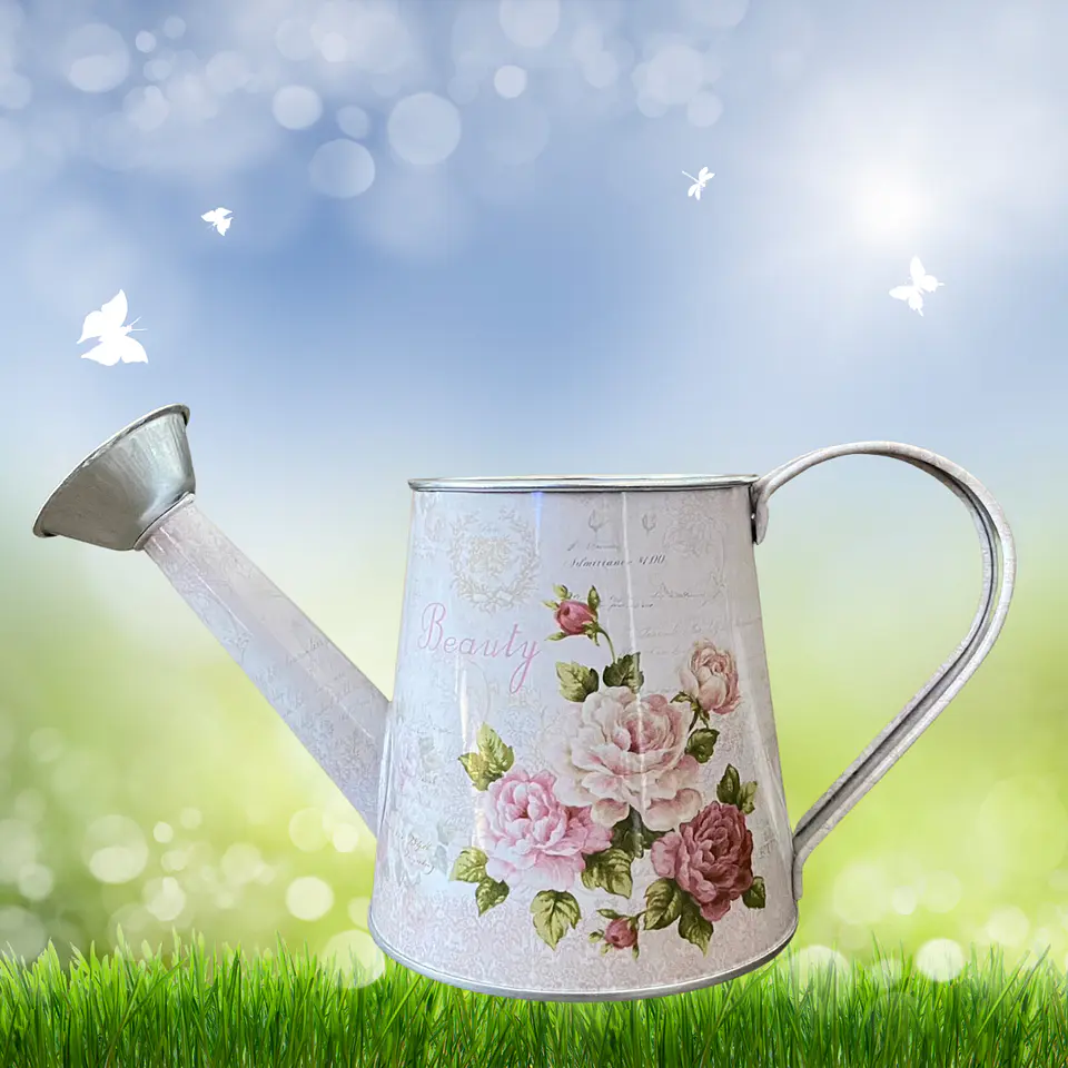Regadera Metálica Decorativa para Plantas 6