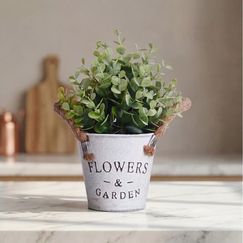 Macetero Metálico Decorativo con Planta Incluida 