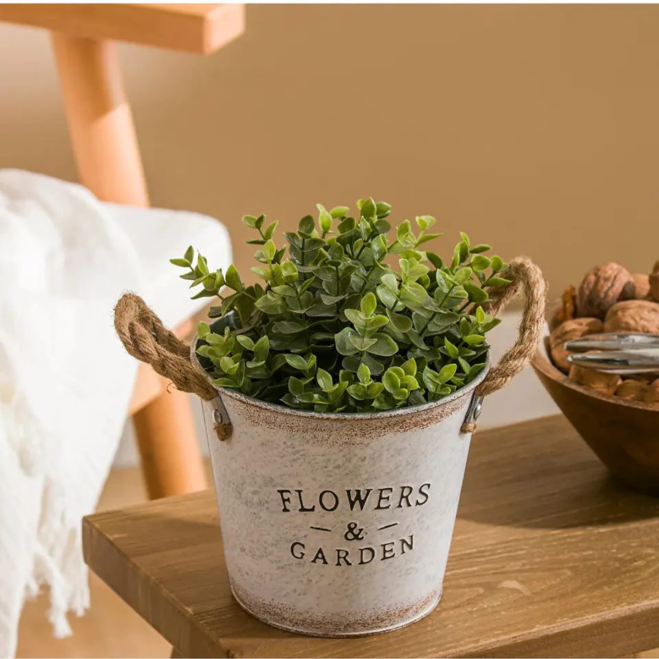 Macetero Metálico Decorativo con Planta Incluida  3