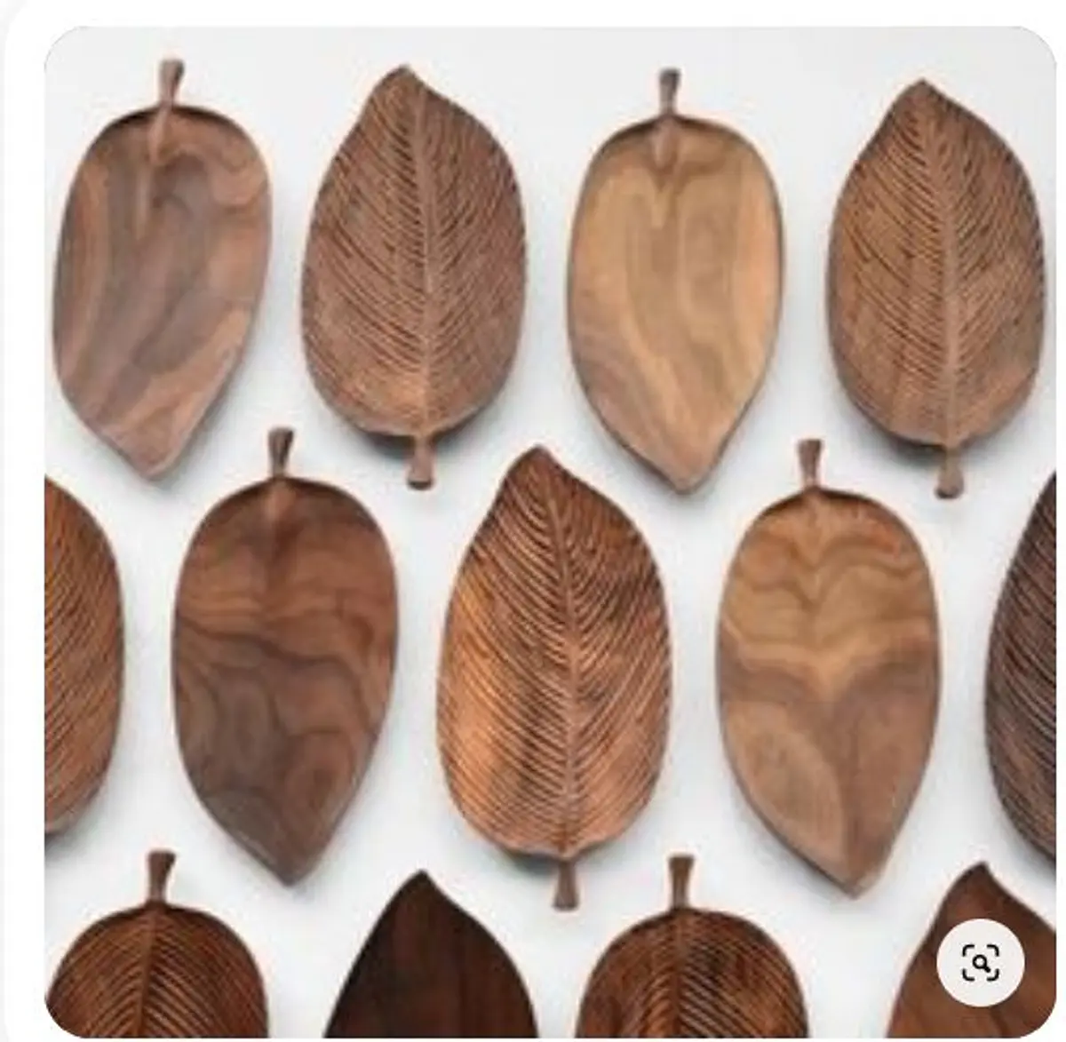 Hojas Decorativas