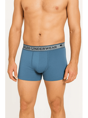 Boxer de homem em algodão - Pack de 2