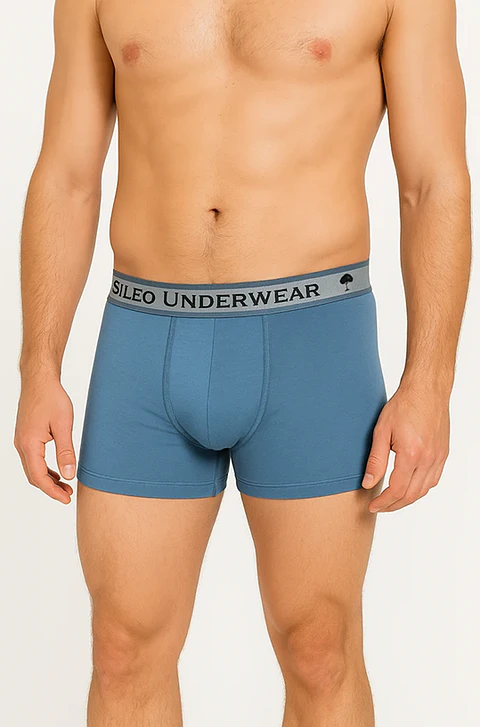 Boxer de homem em algodão - Pack de 2