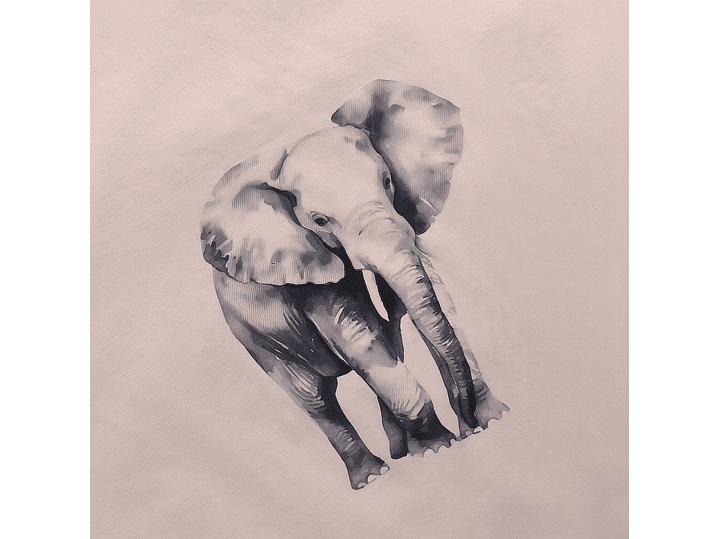 Pijama Rosa Velho com Elefante e Calças Tropicais 4