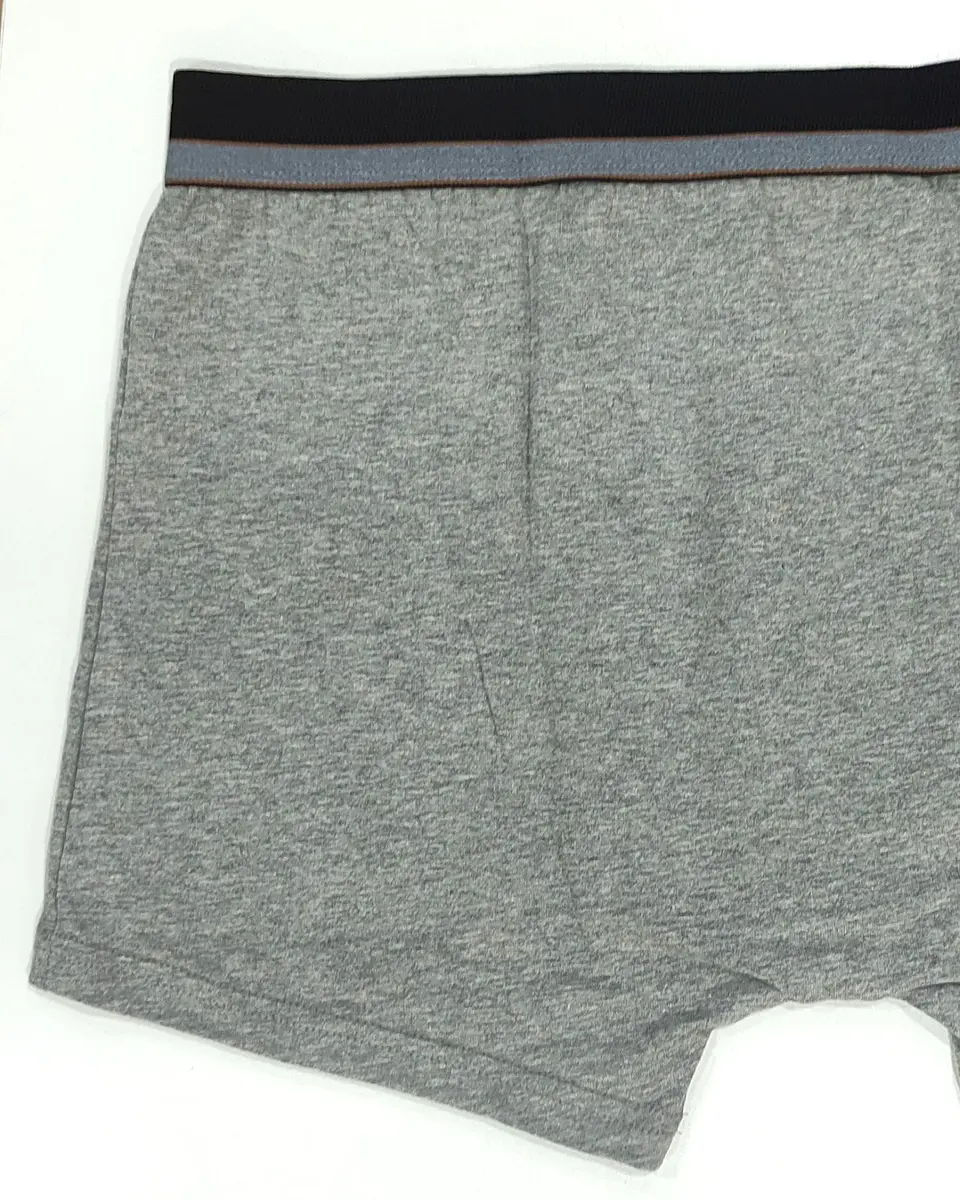 Boxer Homem Algodão Liso – Sem Costuras Atrás e Cintura Confortável-Pack de 3 4