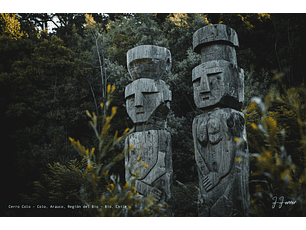 Cerro Colo - Colo, Arauco, Región del Bio - Bío, Chile
