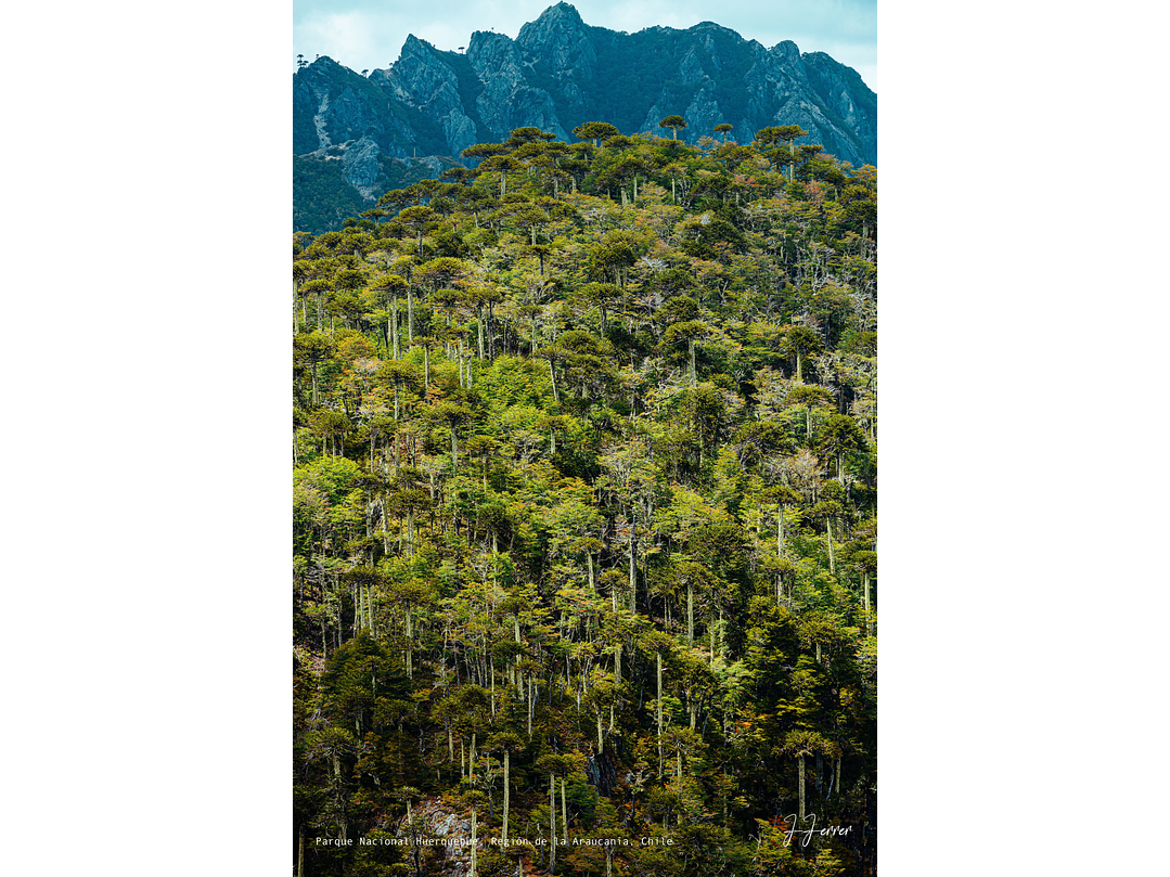 Parque Nacional Huerquehue, Región de la Araucanía, Chile 1