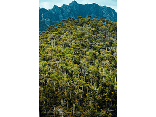 Parque Nacional Huerquehue, Región de la Araucanía, Chile