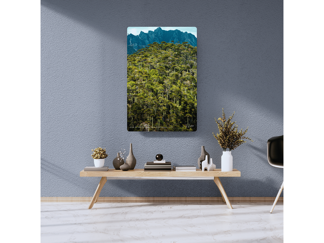 Parque Nacional Huerquehue, Región de la Araucanía, Chile 2