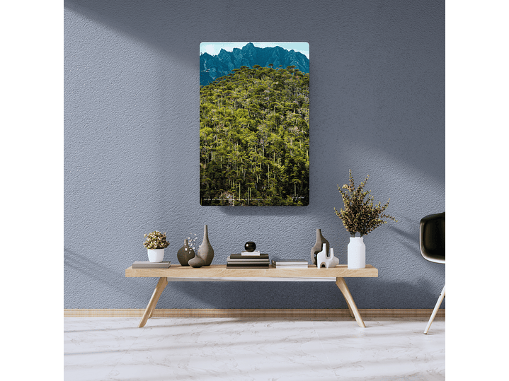 Parque Nacional Huerquehue, Región de la Araucanía, Chile 2