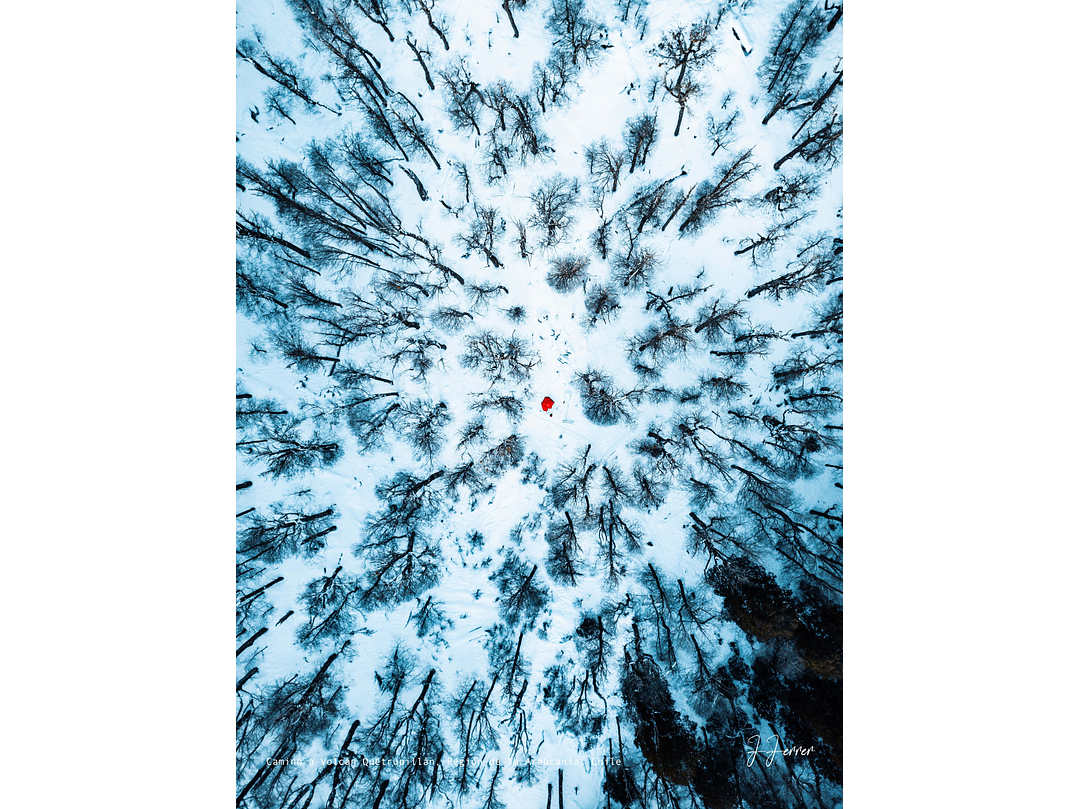 Camino a Volcán Quetrupillán, Región de la Araucanía, Chile 1