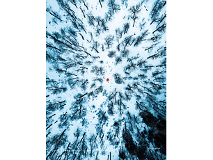 Camino a Volcán Quetrupillán, Región de la Araucanía, Chile