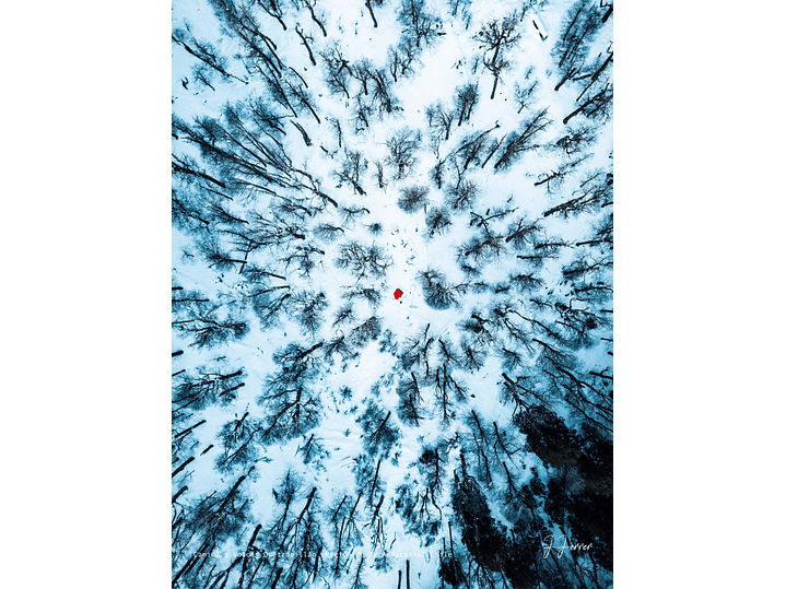 Camino a Volcán Quetrupillán, Región de la Araucanía, Chile 1