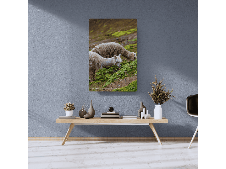 Alpacas camino a Vinicunca, Departamento del Cuzco, Perú 2