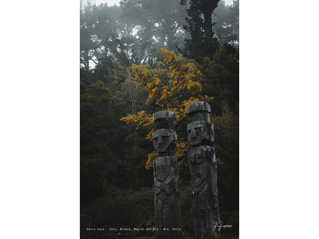 Cerro Colo - Colo, Arauco, Región del Bio - Bío, Chile 1