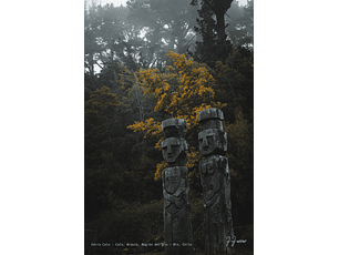 Cerro Colo - Colo, Arauco, Región del Bio - Bío, Chile