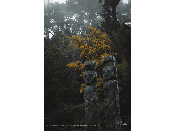 Cerro Colo - Colo, Arauco, Región del Bio - Bío, Chile 1