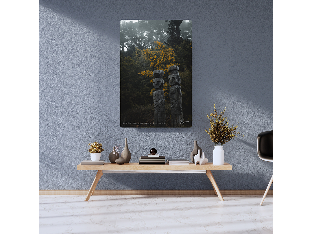 Cerro Colo - Colo, Arauco, Región del Bio - Bío, Chile 2