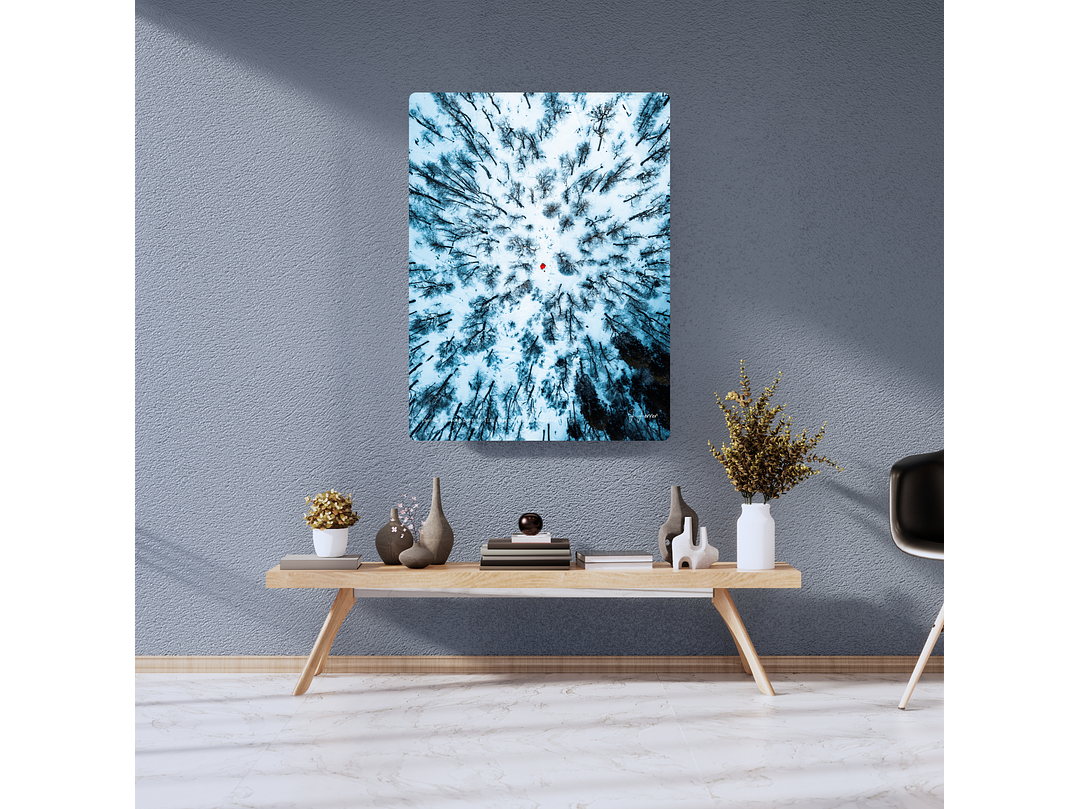 Camino a Volcán Quetrupillán, Región de la Araucanía, Chile 2