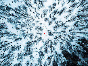 Camino a Volcán Quetrupillán, Región de la Araucanía, Chile