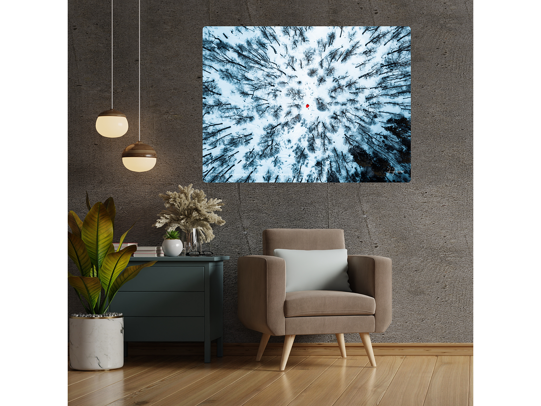 Camino a Volcán Quetrupillán, Región de la Araucanía, Chile 2