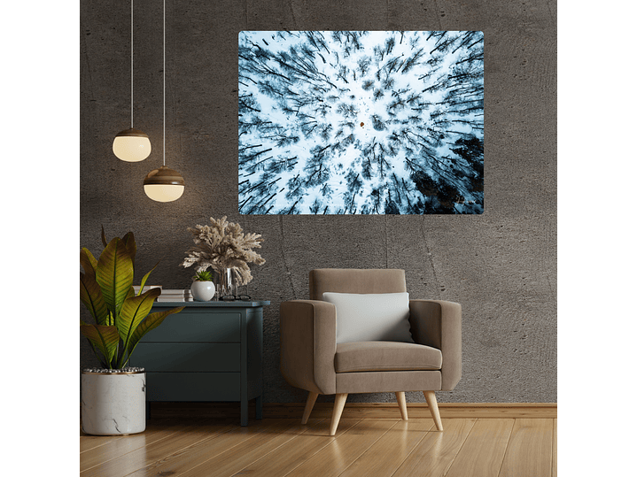 Camino a Volcán Quetrupillán, Región de la Araucanía, Chile 2