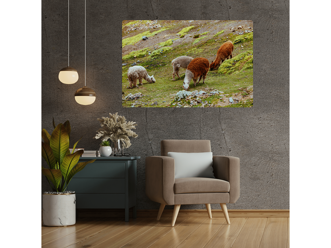 Alpacas camino a Vinicunca, Departamento del Cuzco, Perú 2